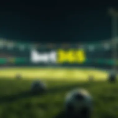 Magnificent bet365와 베팅의 세계 탐구
