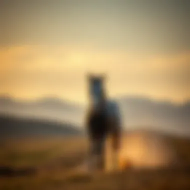 Magnificent 빅타임 게이밍 슬롯의 세계 탐구