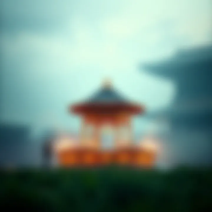Magnificent 대학 농구 베팅의 심층 분석