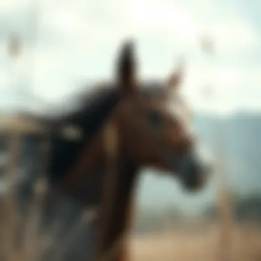 Magnificent 기댓값의 개념과 적용