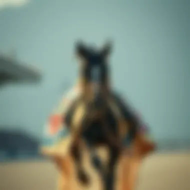 Magnificent 온라인 카지노 슬롯의 심층 탐구