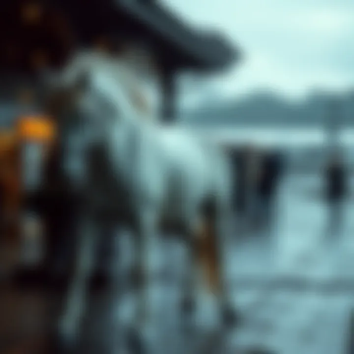 Magnificent 온라인 슬롯 무료 게임의 세계 탐구