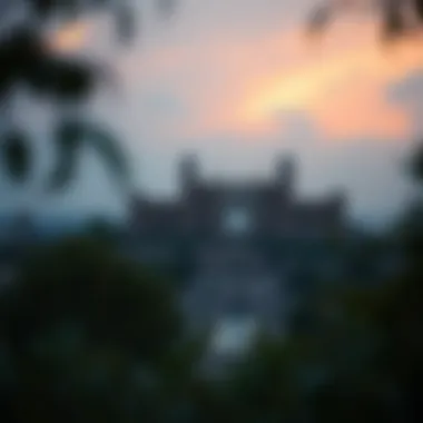 Magnificent 타이슨과 제이크 폴: 현대 복싱의 이해 Magnificent 타이슨과 제이크 폴: 현대 복싱의 이해