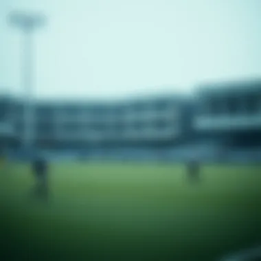 Notable 바카라 슈에 대한 심층 분석