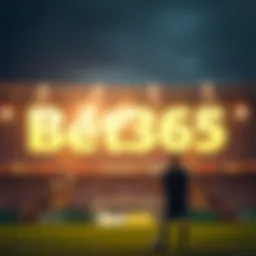 Bet365와 한국의 베팅 시장 Introduction