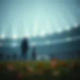 축구 베팅의 심층 분석 Introduction