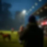 퀵슬립을 통한 베팅의 새로운 패러다임 Introduction