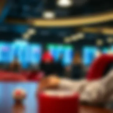 Guidelines for novice users in the betting realm