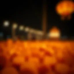 무료 베트 제안 및 무입금 베팅의 이해 Introduction