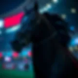 온라인 카지노: 베팅의 새로운 패러다임 Introduction