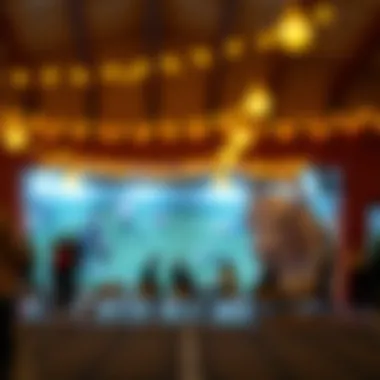 파쿤도 토레스: 베팅 세계에서의 영향과 전략 Introduction 파쿤도 토레스: 베팅 세계에서의 영향과 전략 Introduction